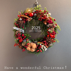 ＊赤い木の実のフレッシュリース　2025　クリスマスリース　25cm針葉樹 赤い木の実のフレッシュリース 2025 クリスマスリース φ25cm針葉樹