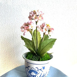 手染め花・布花 ねこやなぎ2枝② 早春の和洋空間のインテリアなどに