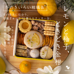 クリスマス限定＊トナカイのタルトモンブラン ケーキ ナチュラル菓子