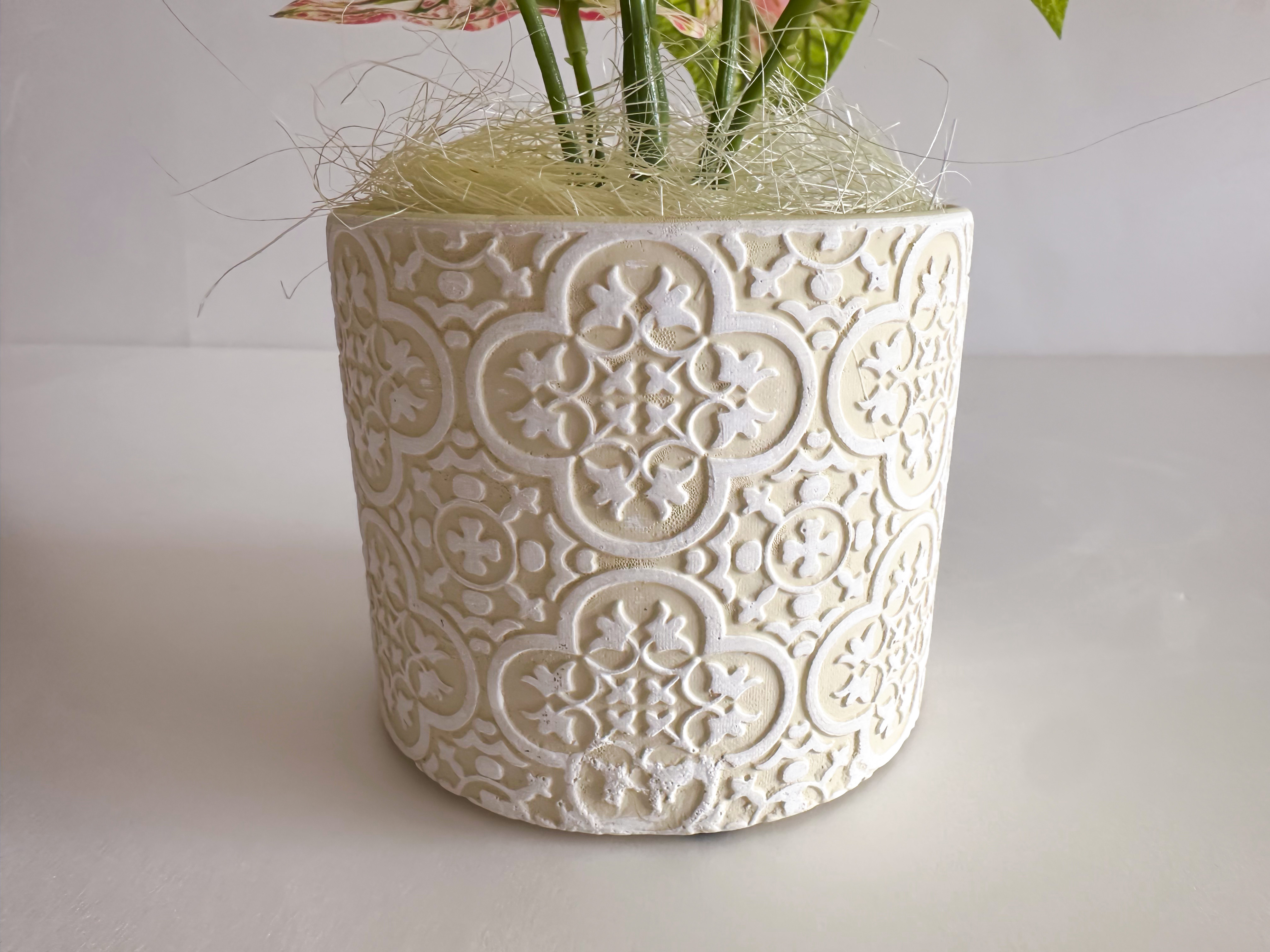 斑入りカラジウム フェイクグリーン（エクリュ柄ポット）