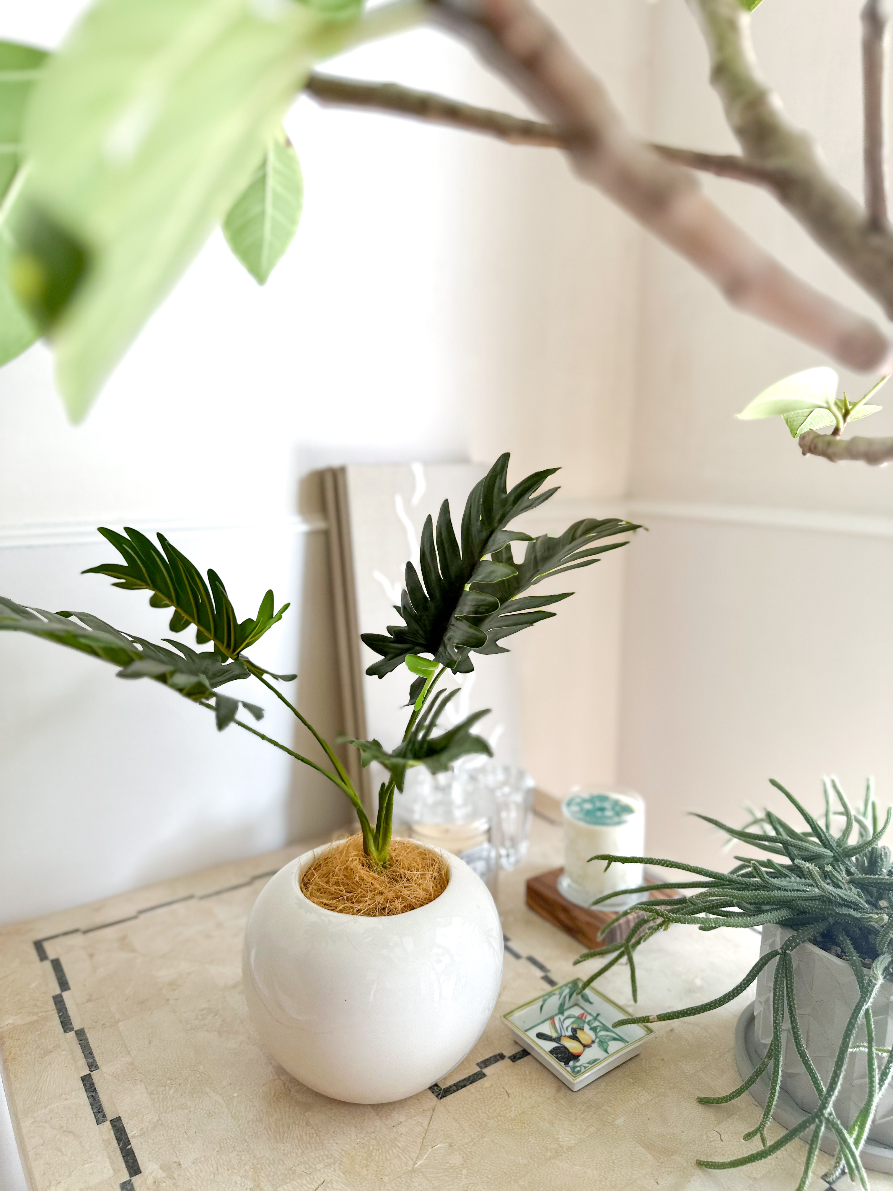 フェイクグリーン セローム（ホワイトラウンド鉢）