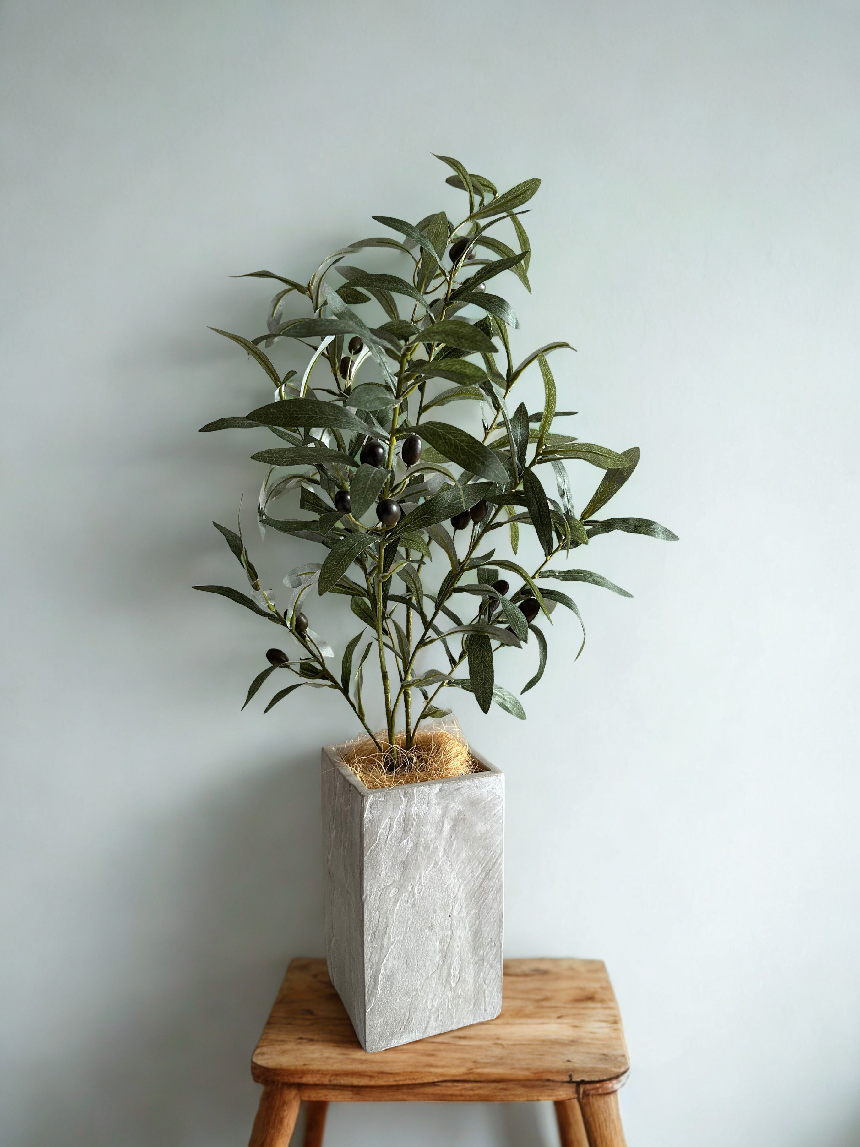 フェイクグリーン オリーブツリー（ストーングレーポット）