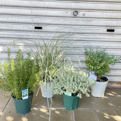 名言「二兎追う者は一兎をも得ず」手書き書道色紙額／受注後の毛筆直筆