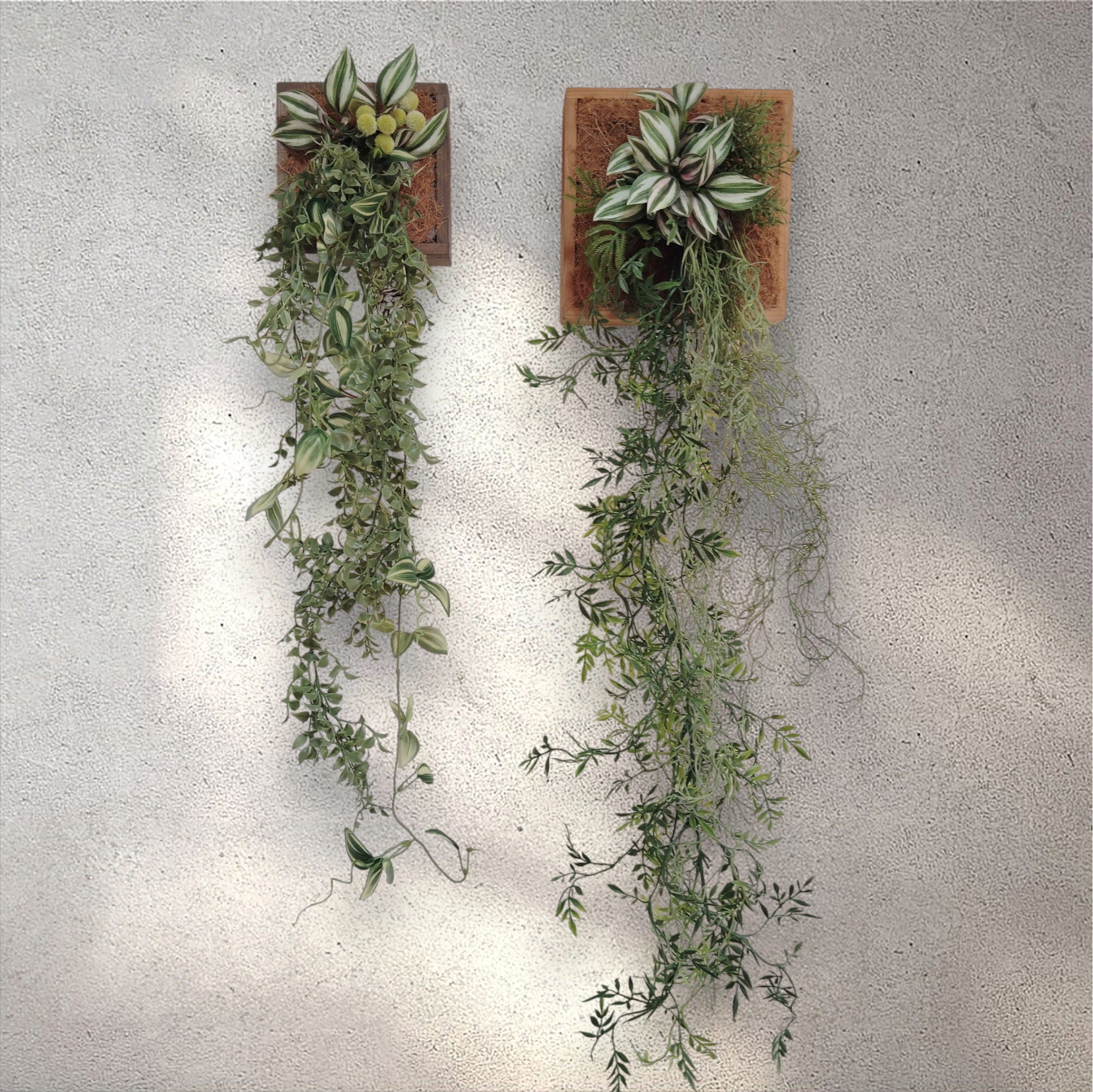 【オーダー受付中】Mサイズ ウォールプランツ ロングリーブス