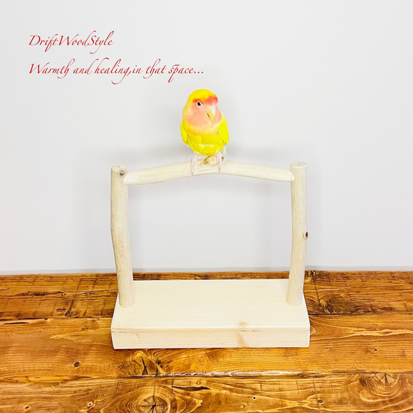 流木インテリア  小～大型インコが止まれる天然流木の小鳥の止まり木 スタンドタイプ インコ オウム 鳥 自然木 N15 2枚目の画像