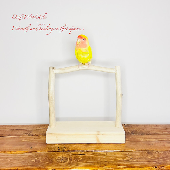 流木インテリア  小～大型インコが止まれる天然流木の小鳥の止まり木 スタンドタイプ インコ オウム 鳥 自然木 N15 1枚目の画像