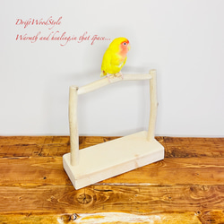 流木インテリア  小～大型インコが止まれる天然流木の小鳥の止まり木 スタンドタイプ インコ オウム 鳥 自然木 N15 3枚目の画像