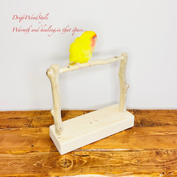 流木インテリア  小～大型インコが止まれる天然流木の小鳥の止まり木 スタンドタイプ インコ オウム 鳥 自然木 N16 3枚目の画像