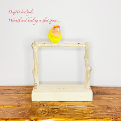 流木インテリア 存在感のある古木のような流木板の3段棚 シェルフ N2