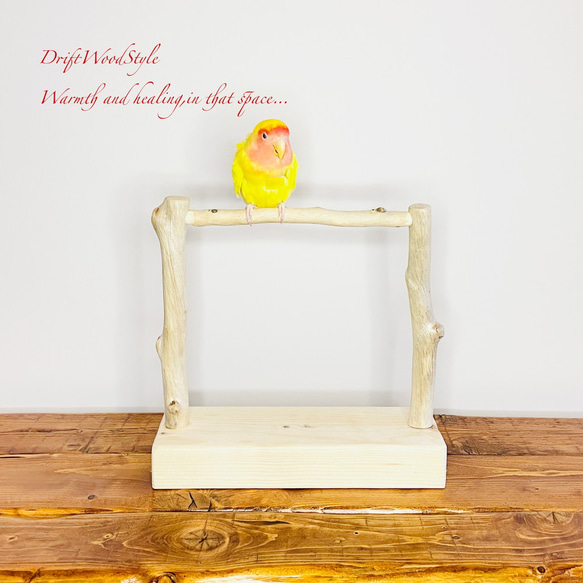 流木インテリア  小～大型インコが止まれる天然流木の小鳥の止まり木 スタンドタイプ インコ オウム 鳥 自然木 N16 1枚目の画像