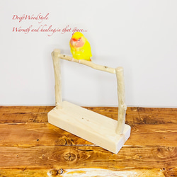 流木インテリア  小～大型インコが止まれる天然流木の小鳥の止まり木 スタンドタイプ インコ オウム 鳥 自然木 N16 4枚目の画像