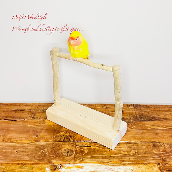 流木インテリア  小～大型インコが止まれる天然流木の小鳥の止まり木 スタンドタイプ インコ オウム 鳥 自然木 N16 4枚目の画像