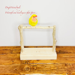 流木インテリア  小～大型インコが止まれる天然流木の小鳥の止まり木 スタンドタイプ インコ オウム 鳥 自然木 N16 2枚目の画像