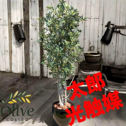 光触媒 人工観葉植物 ウォールグリーン フェイクグリーン ボールグラス