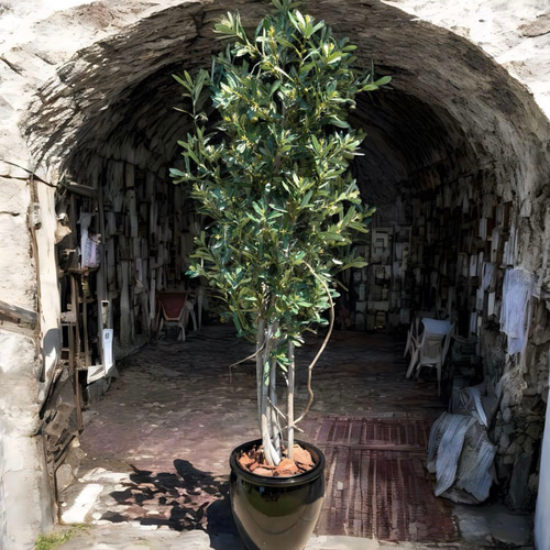 光触媒 人工観葉植物 ウォールグリーン フェイクグリーン オリーブtja