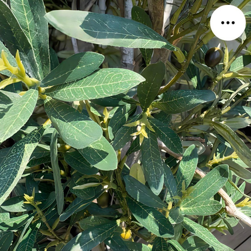 光触媒 人工観葉植物 ウォールグリーン フェイクグリーン オリーブtja