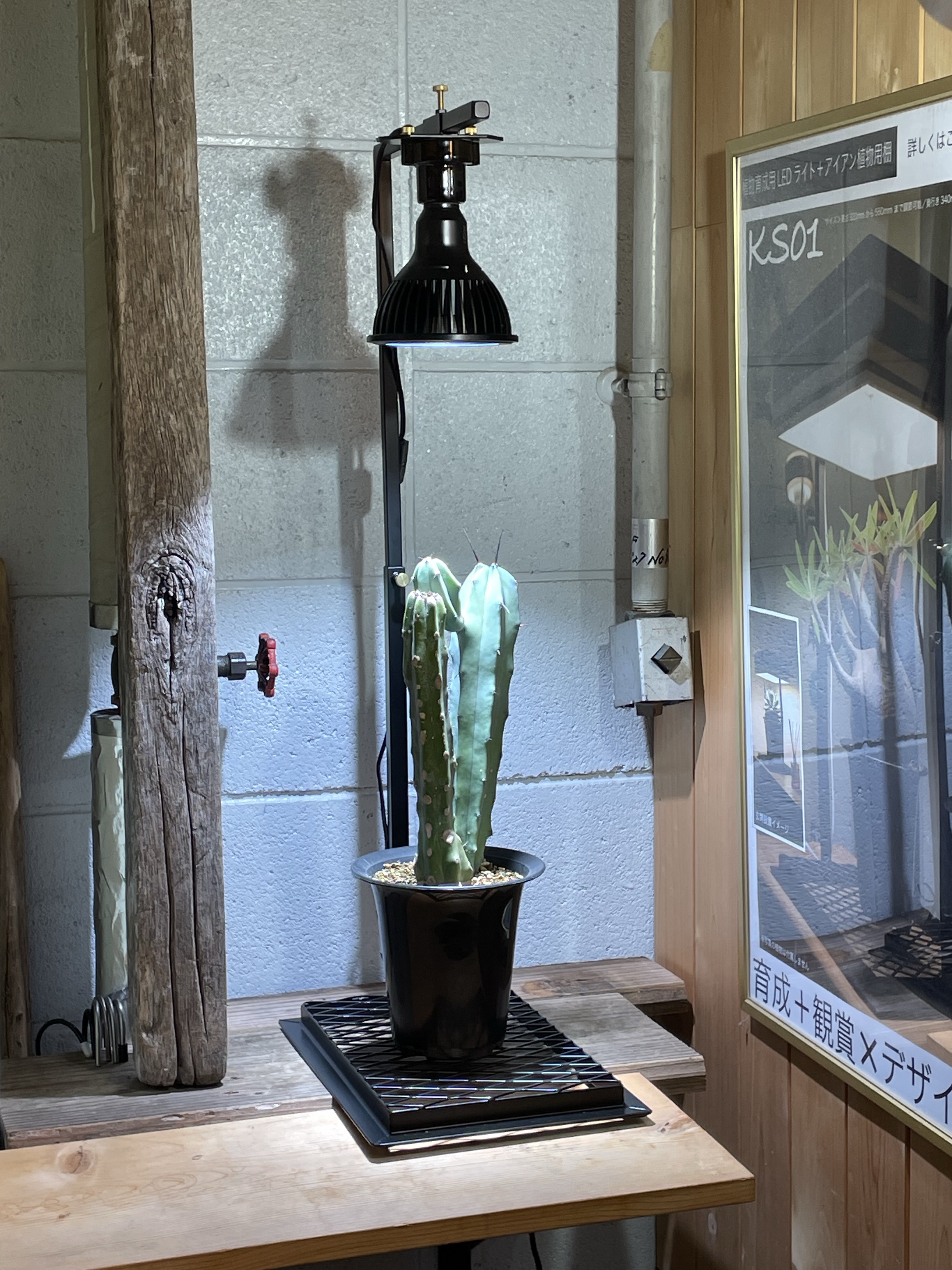 植物育成スタンド（e26ソケット付き）【鉄線】黒一本