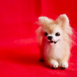 羊毛フェルト チワワ のおすすめ人気通販 検索結果｜Creema(クリーマ