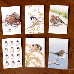 スズメとポニーの年賀状 2026 ポストカード Trinos 通販 19912522