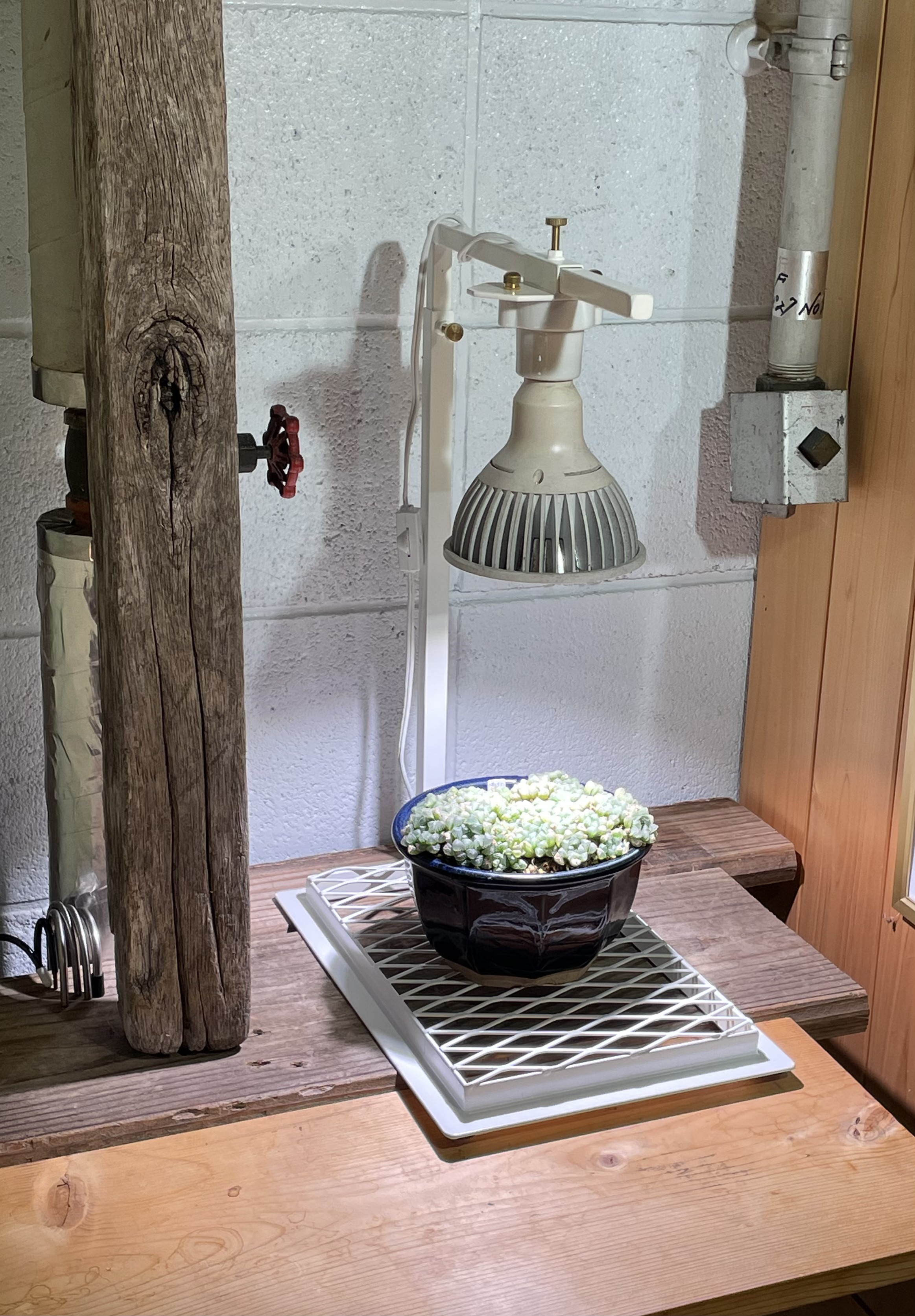 植物育成スタンド（e26ソケット付き）【鉄線】白一本