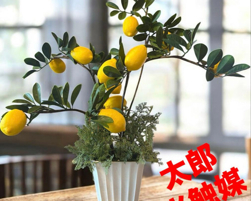 光触媒　人工観葉植物　ウォールグリーン　フェイクグリーン　レモンツリー1.6 光触媒 人工観葉植物 ウォールグリーン フェイクグリーン レモンツリー