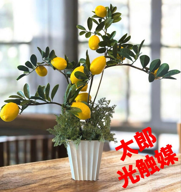 光触媒 人工観葉植物 ウォールグリーン フェイクグリーン レモンツリー