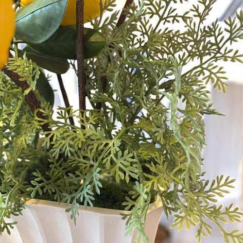 光触媒　人工観葉植物　ウォールグリーン　フェイクグリーン　レモンの木gj 光触媒 人工観葉植物 ウォールグリーン フェイクグリーン レモンツリー