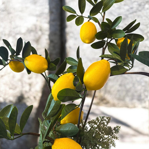 光触媒　人工観葉植物　ウォールグリーン　フェイクグリーン　レモンの木1.35 光触媒 人工観葉植物 ウォールグリーン フェイクグリーン レモンツリー