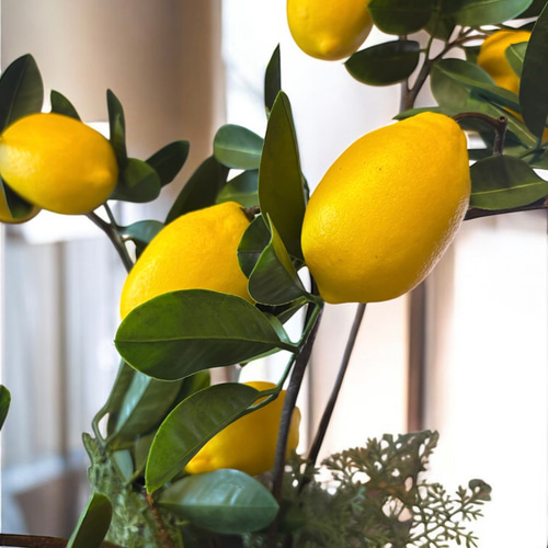 光触媒　人工観葉植物　ウォールグリーン　フェイクグリーン　レモンツリー1.6 光触媒 人工観葉植物 ウォールグリーン フェイクグリーン レモンツリー