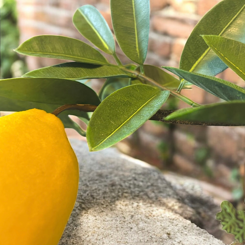 光触媒 人工観葉植物 ウォールグリーン フェイクグリーン レモンツリー