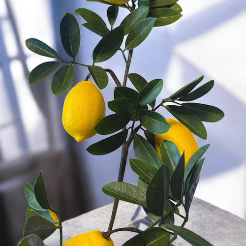 光触媒 人工観葉植物 ウォールグリーン フェイクグリーン レモンツリー