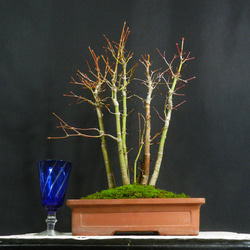 ENGEI ichiokiの販売中作品一覧 | ハンドメイド通販・販売のCreema