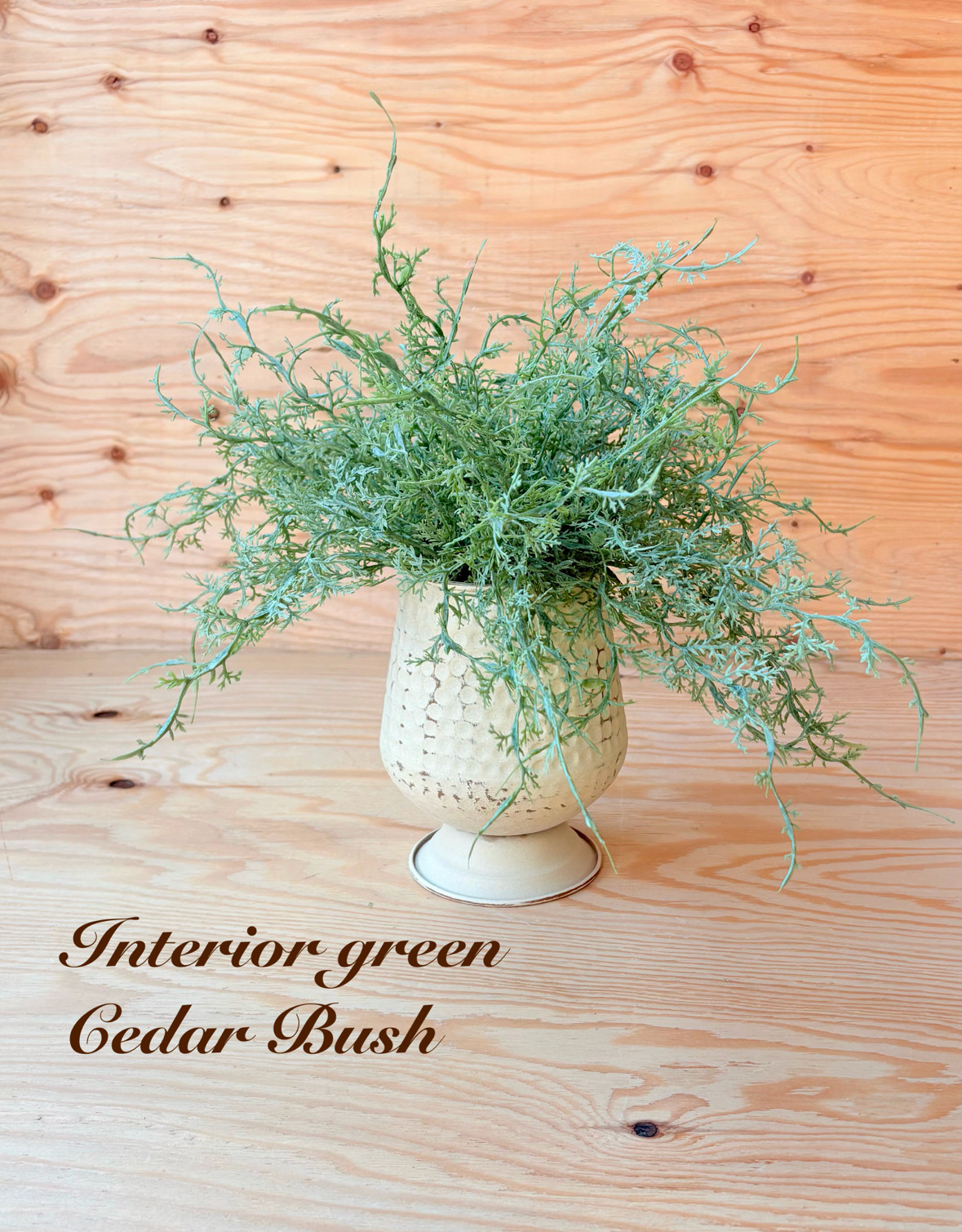 風のささやき　フェイク　インテリアグリーン　コロンと可愛い　ブリキポット　繊細な葉のシダーブッシュ　最大幅45 高さ35