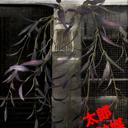 光触媒 人工観葉植物 ウォールグリーン フェイクグリーン 藤の花ツリー