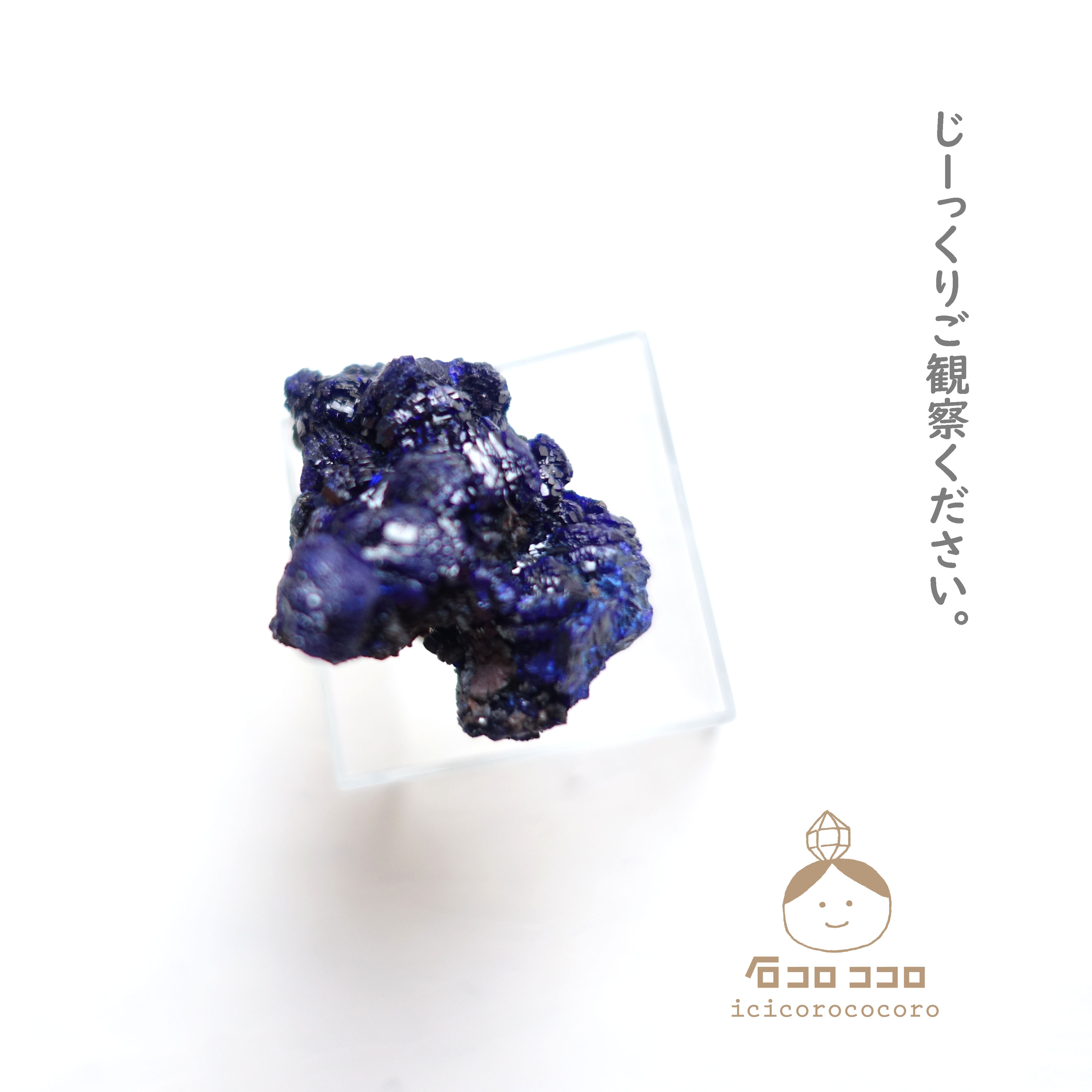 《国内送料無料》 ✦ 青の結晶 ✦ アズライト  13「 ワイルドな青 」　モロッコ直輸入【 かわいい鉱物標本 】