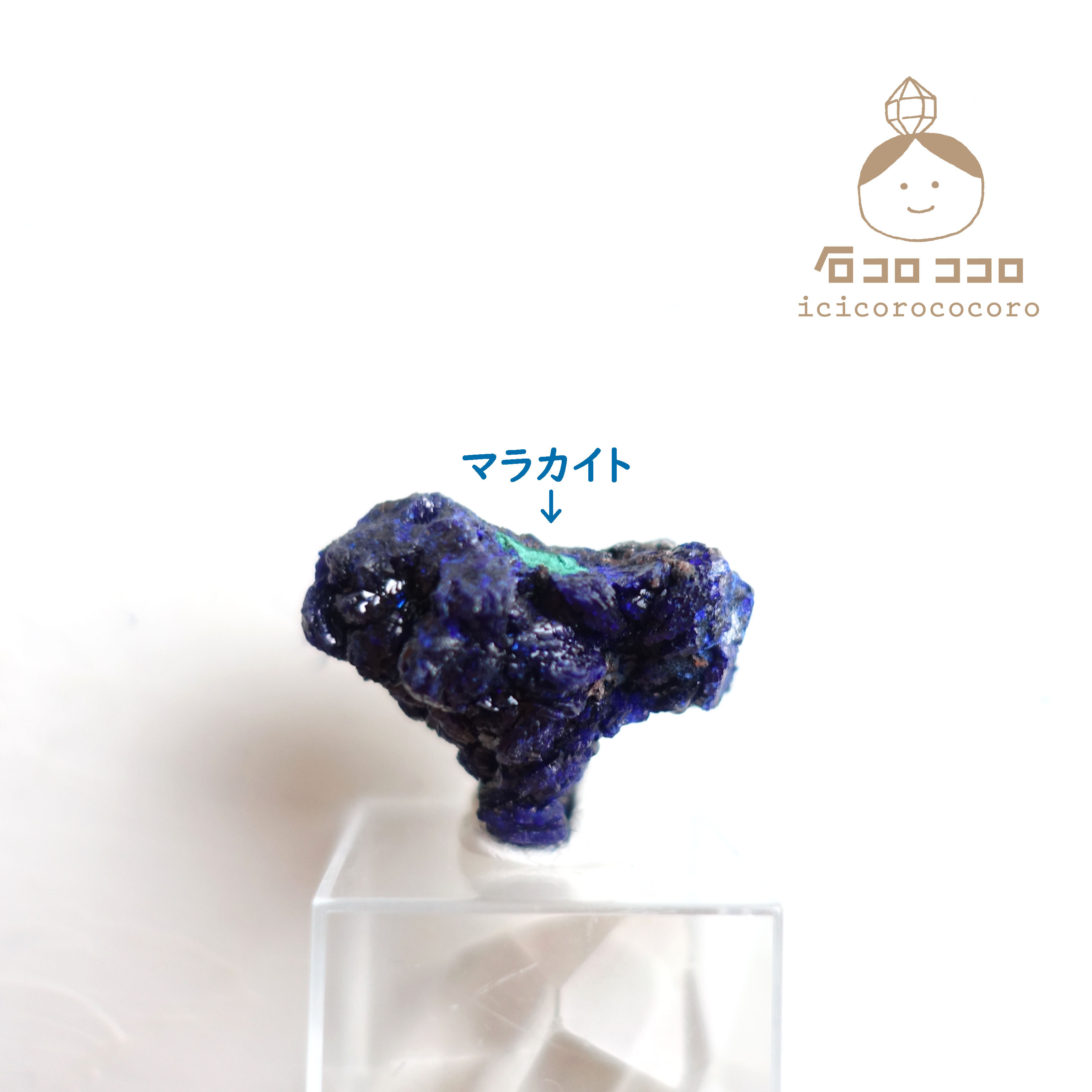 《国内送料無料》 ✦ 青の結晶 ✦ アズライト  13「 ワイルドな青 」　モロッコ直輸入【 かわいい鉱物標本 】