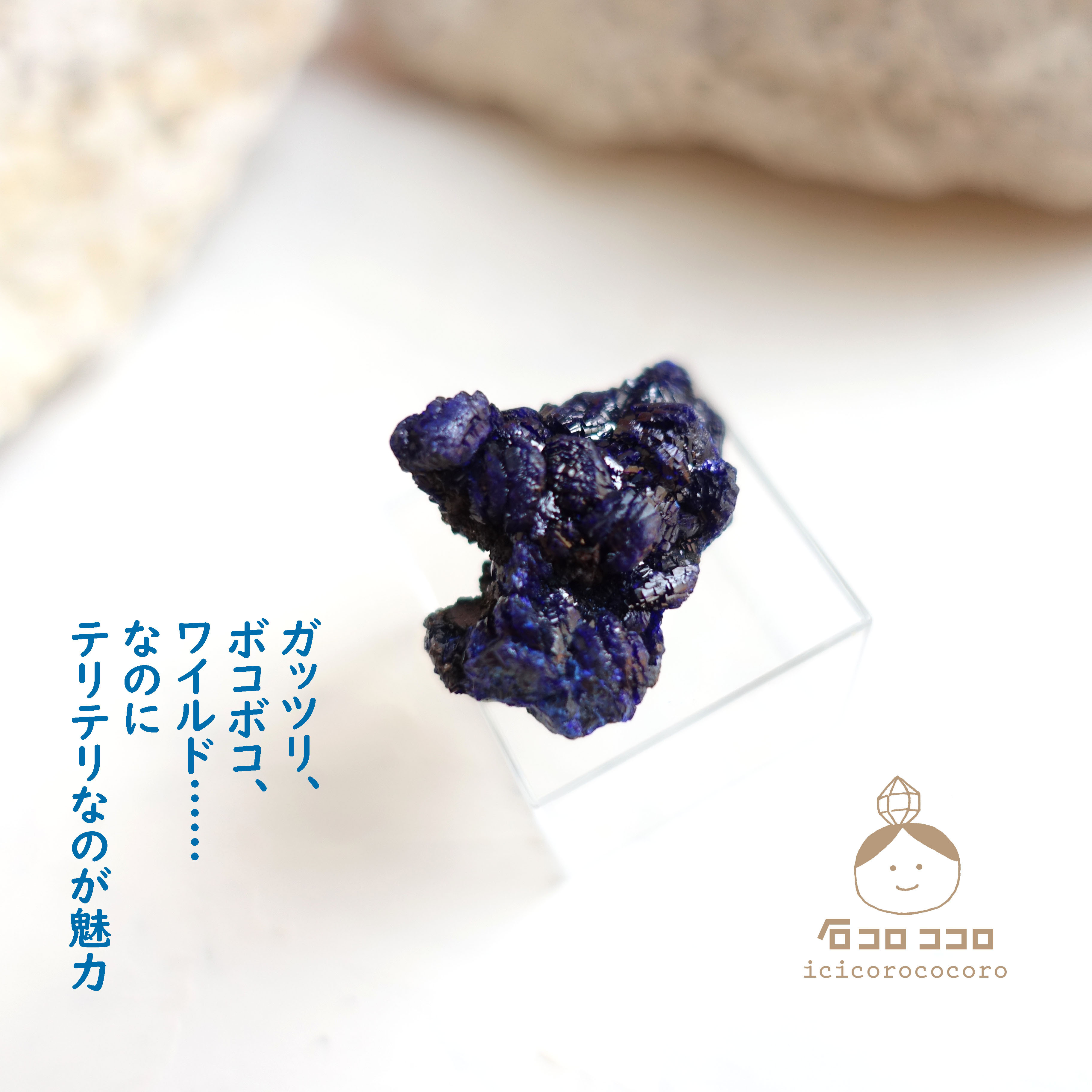 《国内送料無料》 ✦ 青の結晶 ✦ アズライト  13「 ワイルドな青 」　モロッコ直輸入【 かわいい鉱物標本 】