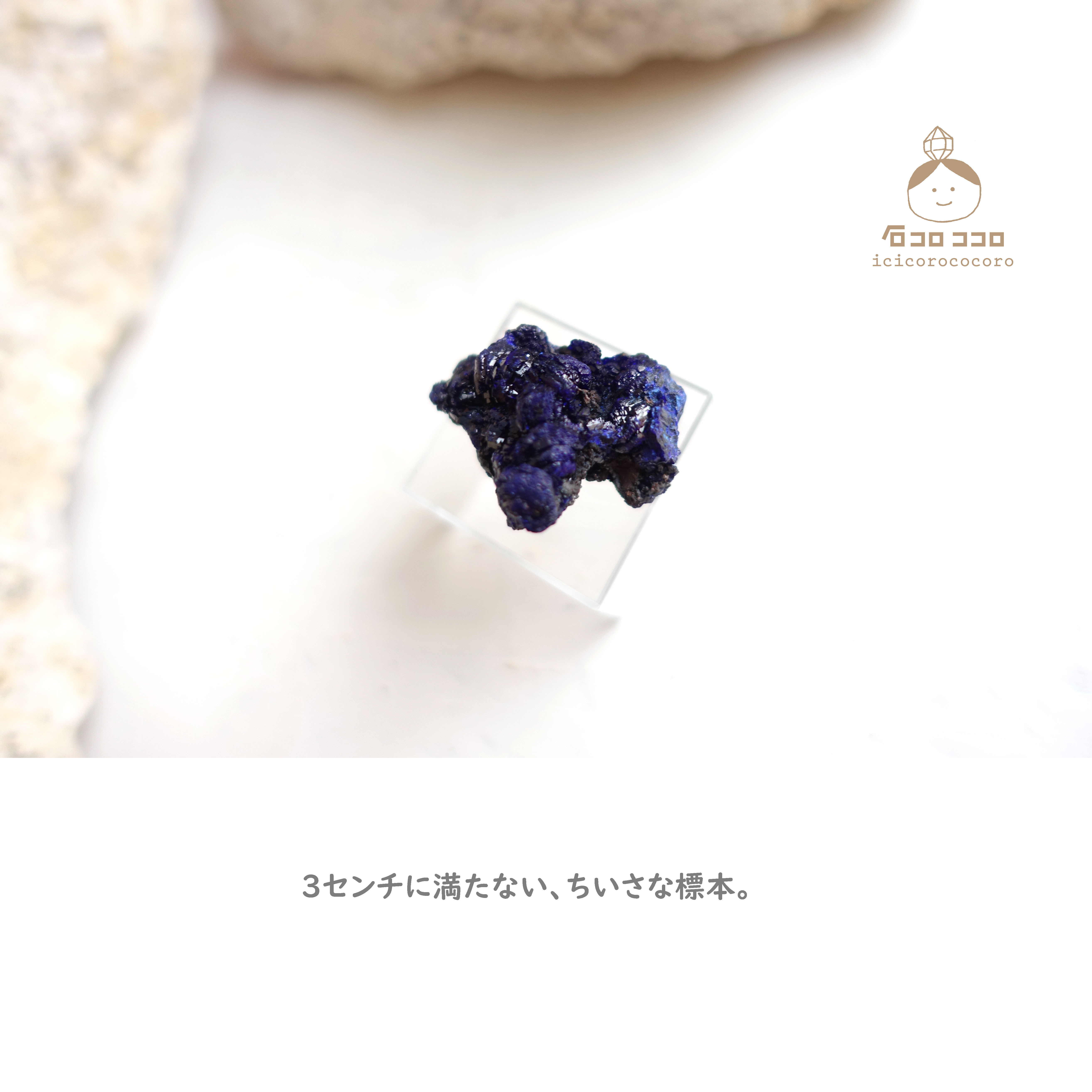 《国内送料無料》 ✦ 青の結晶 ✦ アズライト  13「 ワイルドな青 」　モロッコ直輸入【 かわいい鉱物標本 】