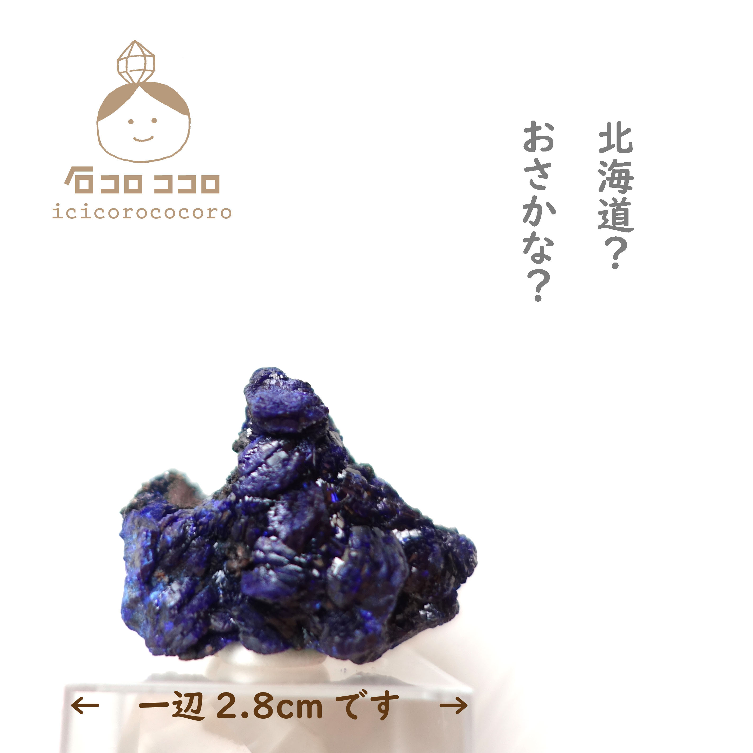《国内送料無料》 ✦ 青の結晶 ✦ アズライト  13「 ワイルドな青 」　モロッコ直輸入【 かわいい鉱物標本 】