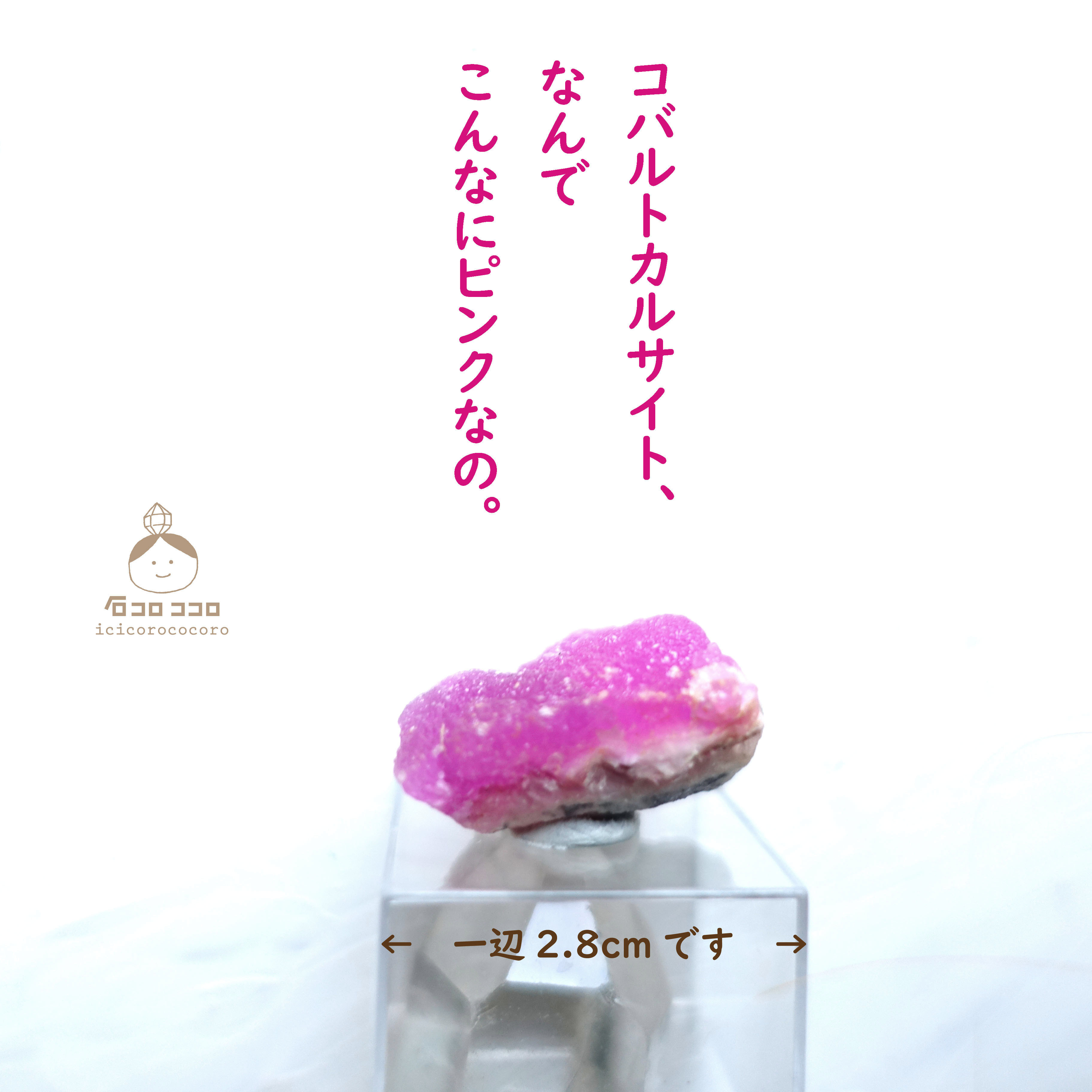 《国内送料無料》✦ ピンクの結晶 ✦ コバルトカルサイト 12 「ジェラートだ ‼」 モロッコ直輸入【かわいい鉱物標本】