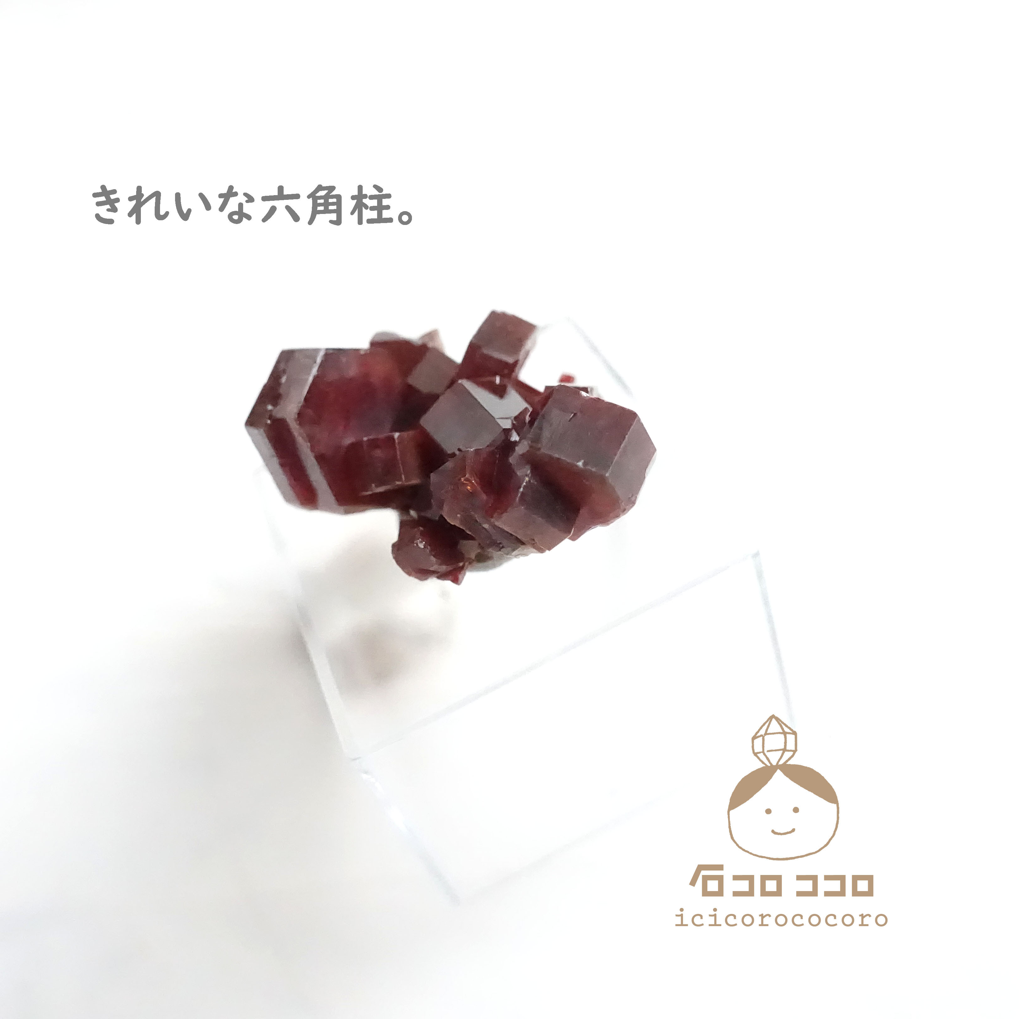 《国内送料無料》✦ 赤の結晶 ✦ バナディナイト 11「 魅惑のチョコ色 」　モロッコ直輸入【 かわいい鉱物標本 】