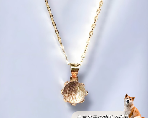 274eda1aa03bc073cae6e1eab02245