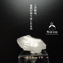 石コロ ココロの販売中作品一覧 | ハンドメイド通販・販売のCreema