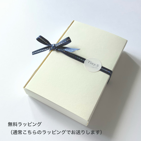 winter breeze✴︎モスアクアマリン×ムーンストーン×ホワイトアゲート✴︎All14Kgfピアス 12枚目の画像