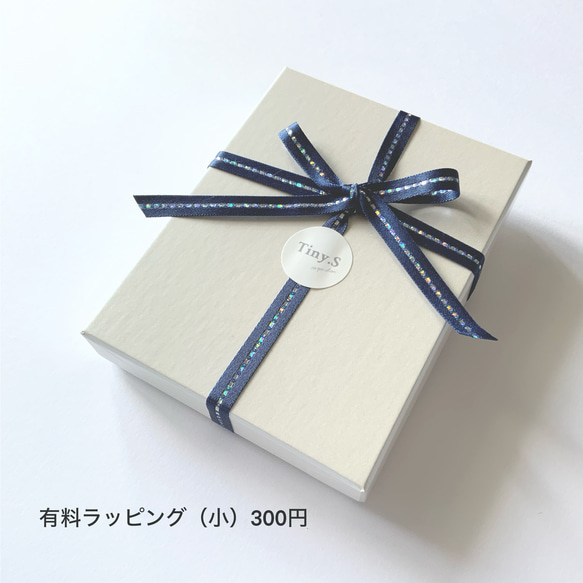 winter breeze✴︎モスアクアマリン×ムーンストーン×ホワイトアゲート✴︎All14Kgfピアス 14枚目の画像