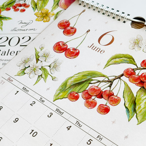 SALE】2026カレンダー/手描きフルーツイラスト/A4壁掛け/キッチンや