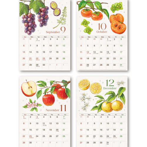 SALE】2026カレンダー/手描きフルーツイラスト/A4壁掛け/キッチンや