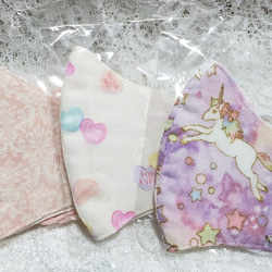 チューリップ刺繍(*˘︶˘*).｡.:*♥️大人立体マスク23---1 布マスク S×S