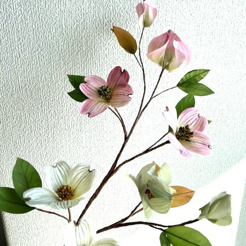 手染め花・布花 ハナミズキ（花水木）1枝 和洋空間のインテリアなどに