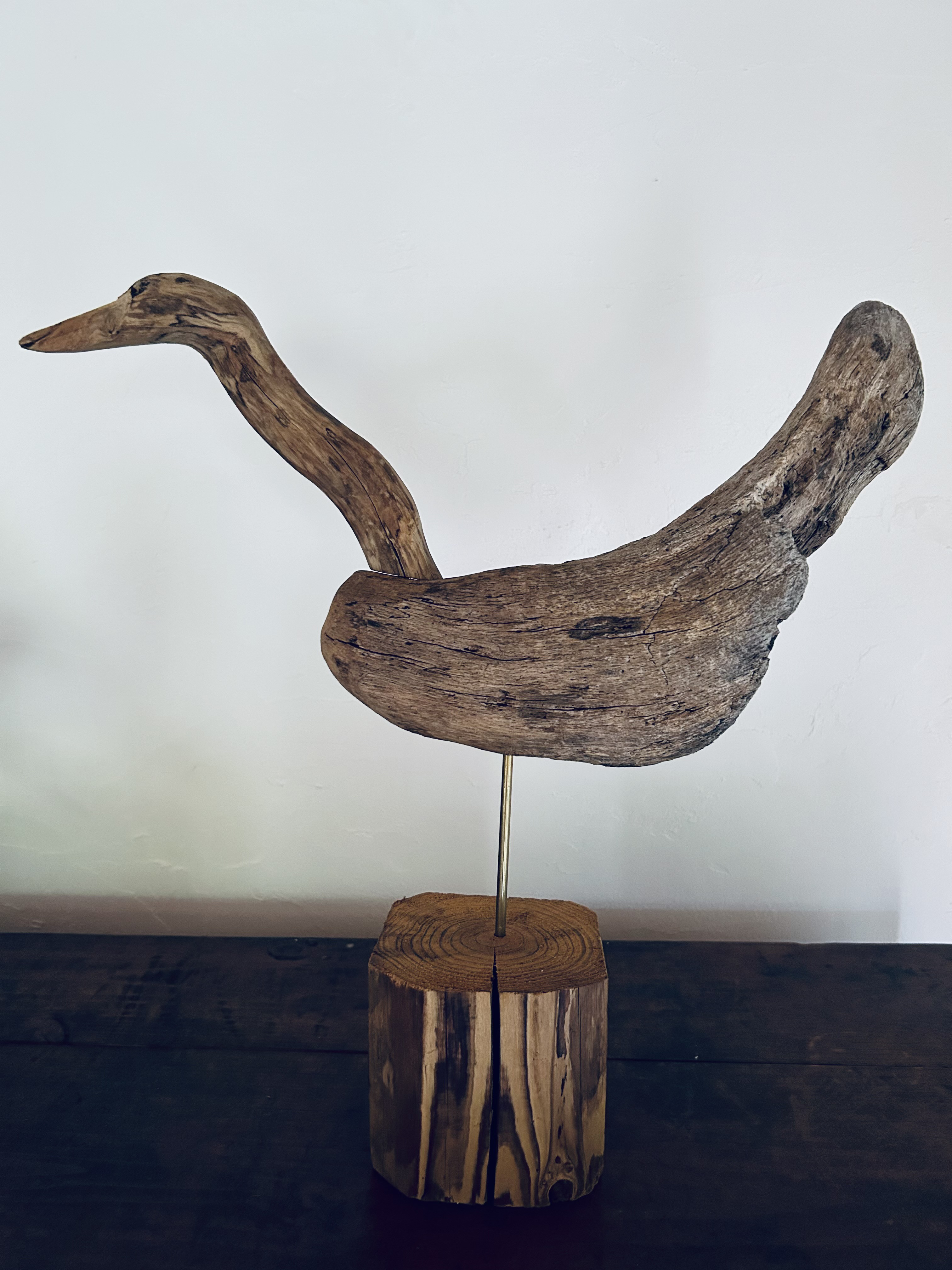 倒木・流木の鳥　wataridori  No.8